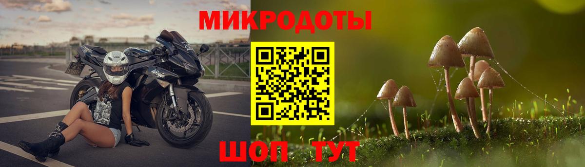 Чапаевск  Галлюциногенные грибы Psilocybine cubensis  Галлюциногенные грибы прущие грибы  Вход с VPN 